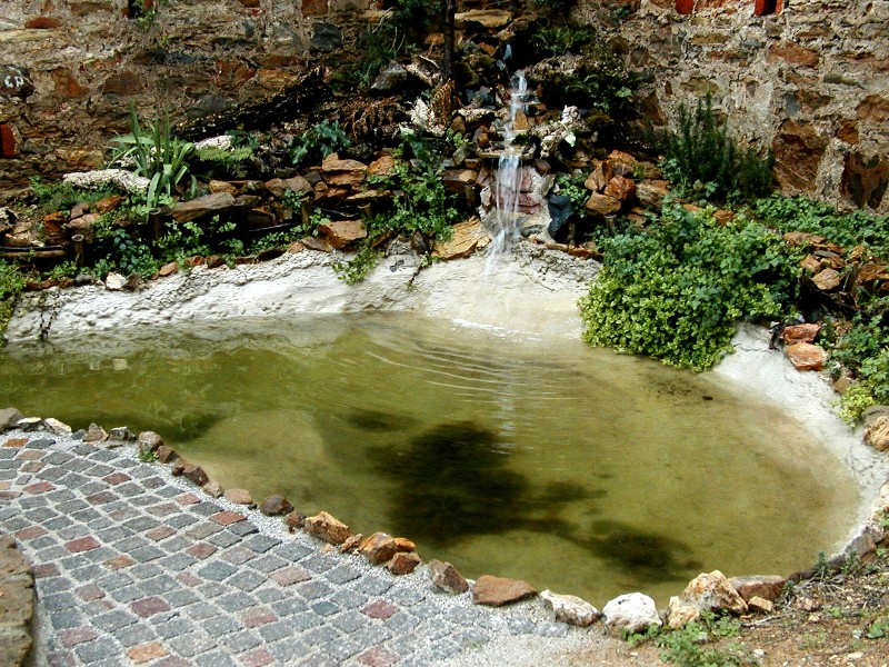 Il Laghetto del Centro di Entomologia - Piombino (LI)